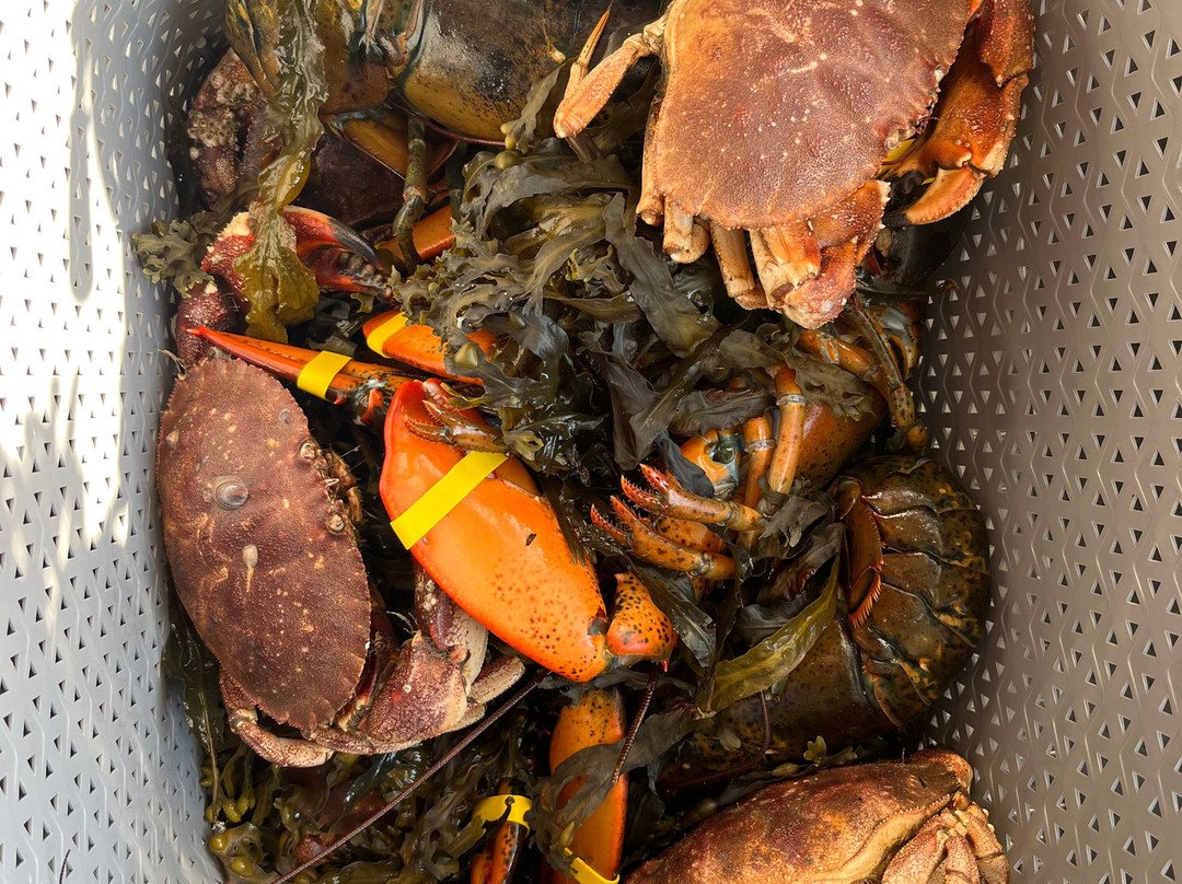 Rita B. Offshore Fishing-波特兰必去景点