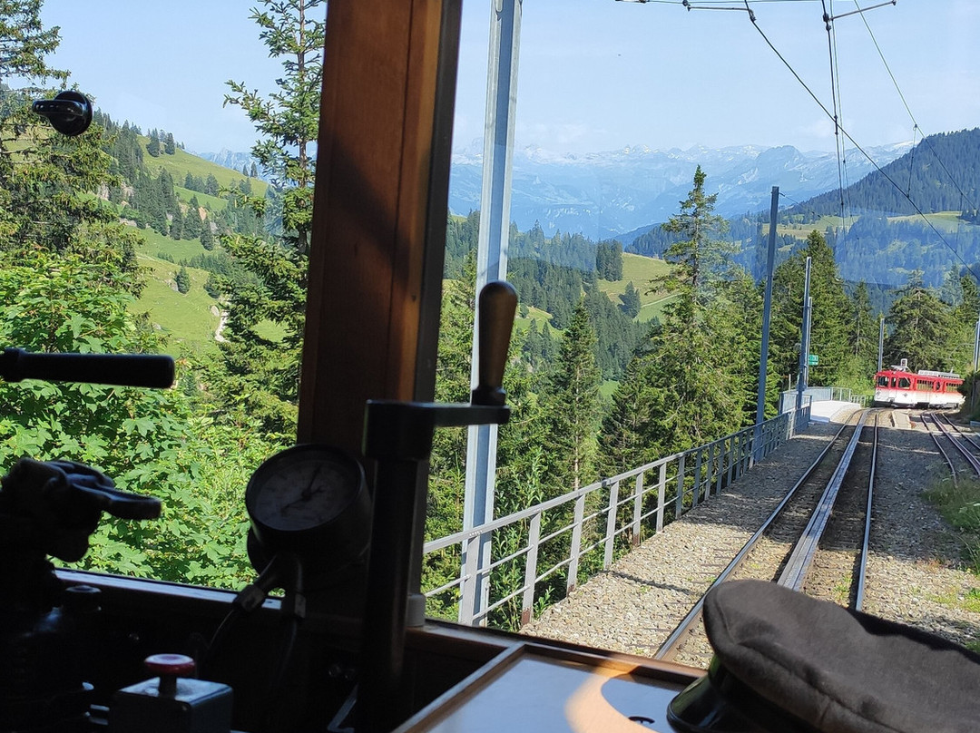 Goldau - Rigi Kulm cogwheel railway-Goldau必去景点