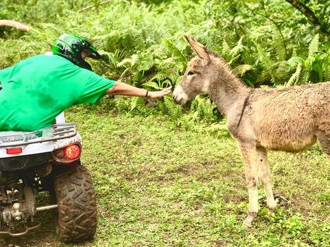 WAH GWAANN ATV JUNGLE SAFARI TOUR