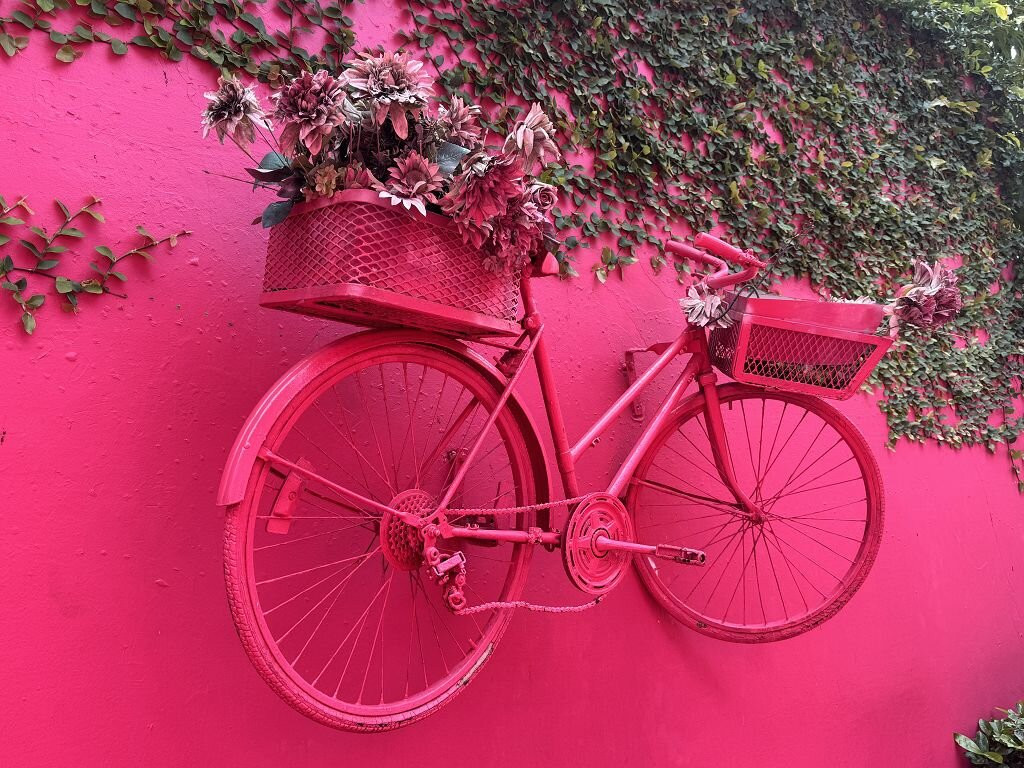 Paseo de Dona Blanca