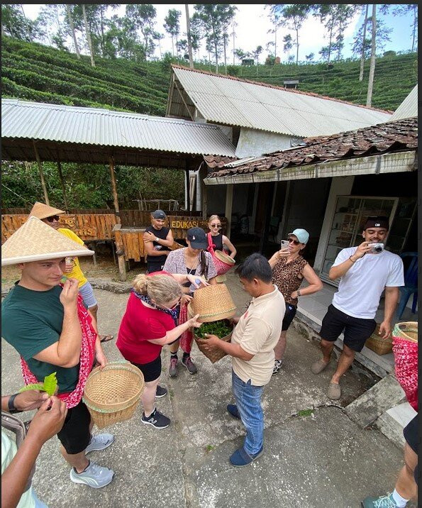 Java Bali Trips-Bantul必去景点