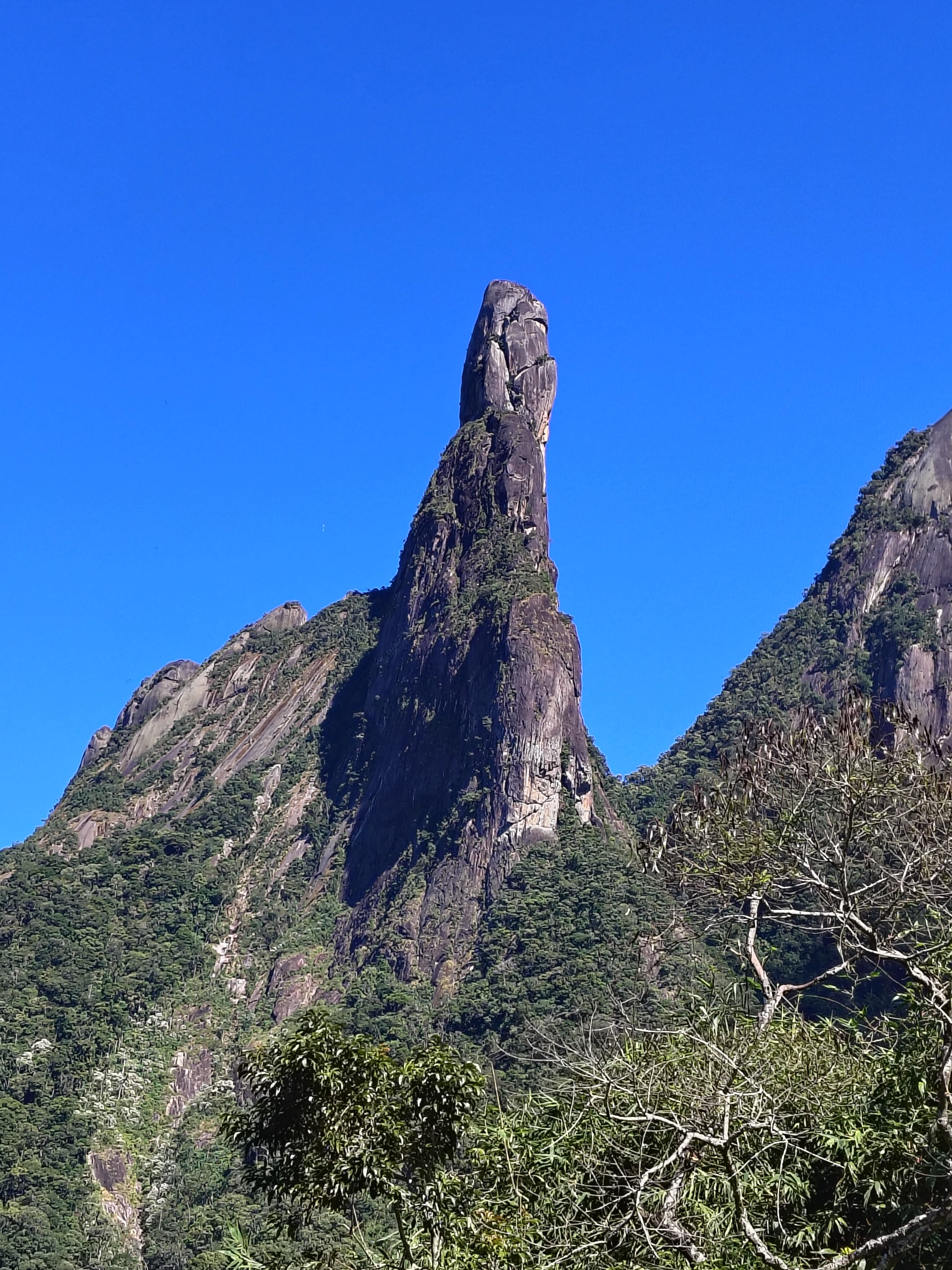 Vilanova Parque Hotel-官方