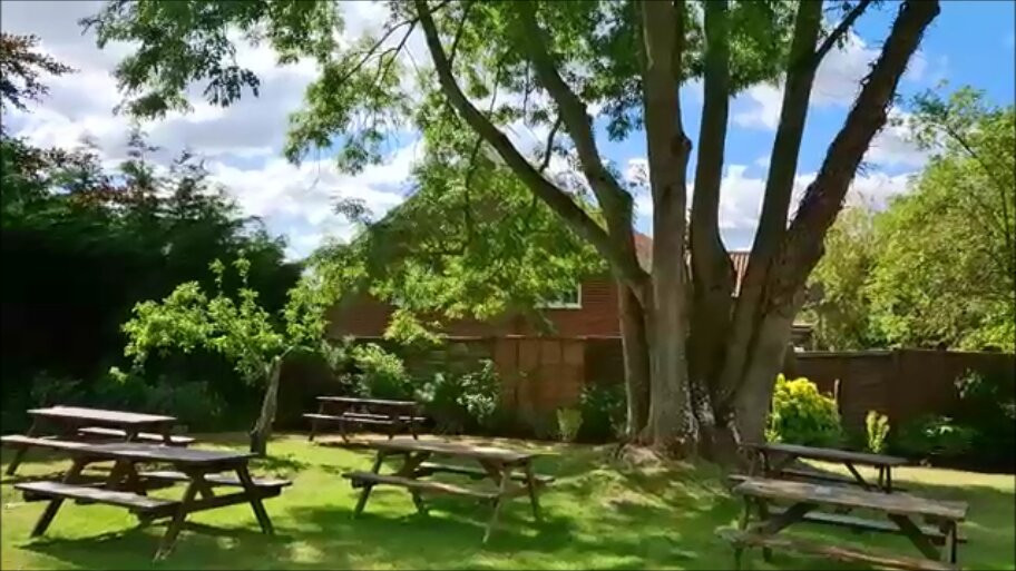 The Honingham Buck主图