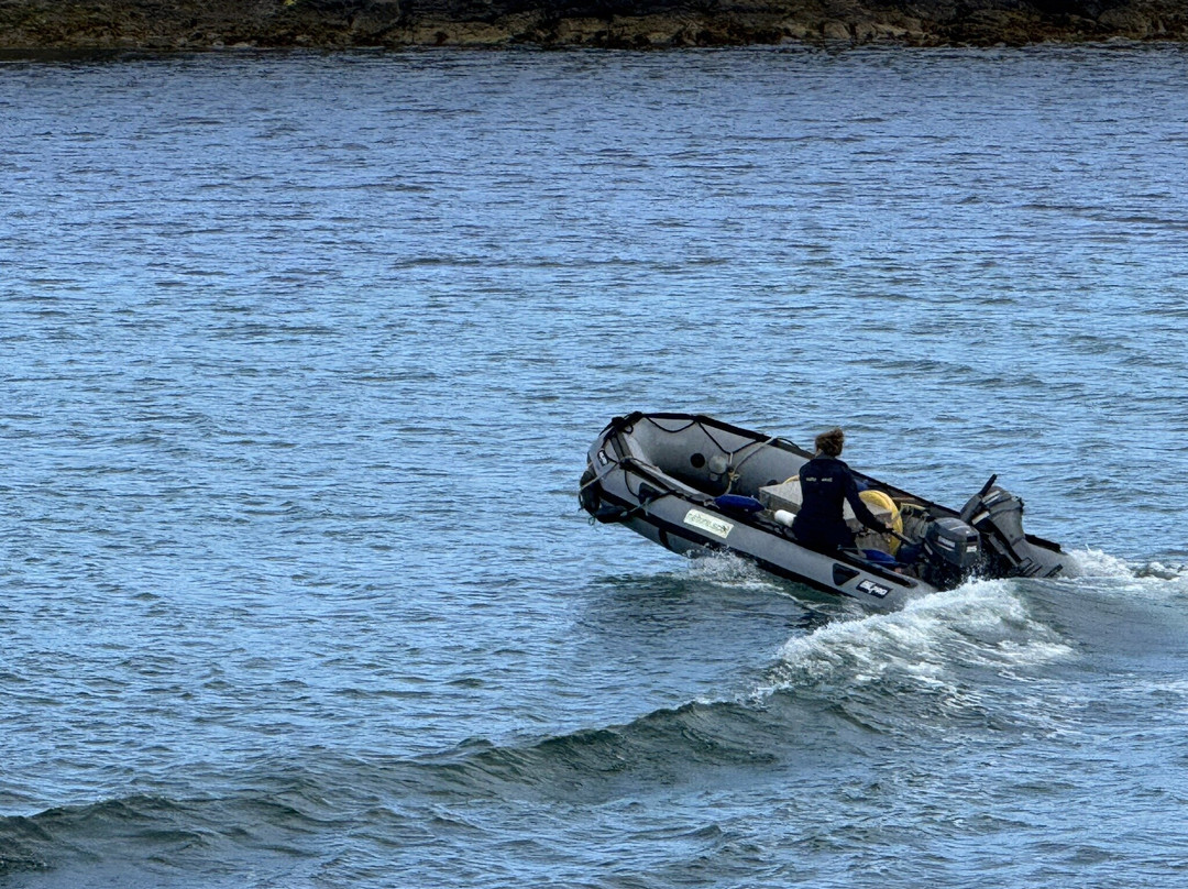 Noss National Nature Reserve-Bressay必去景点