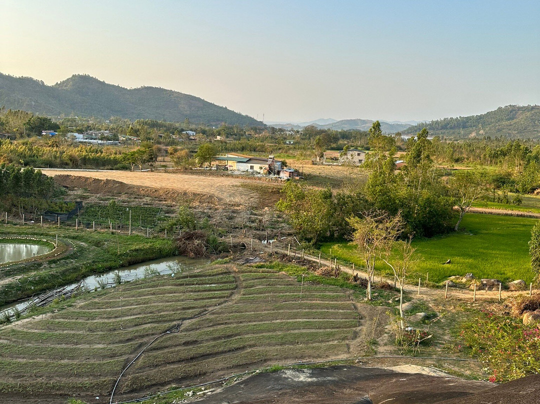 Núi Đá Voi Mẹ-Krong Bong必去景点