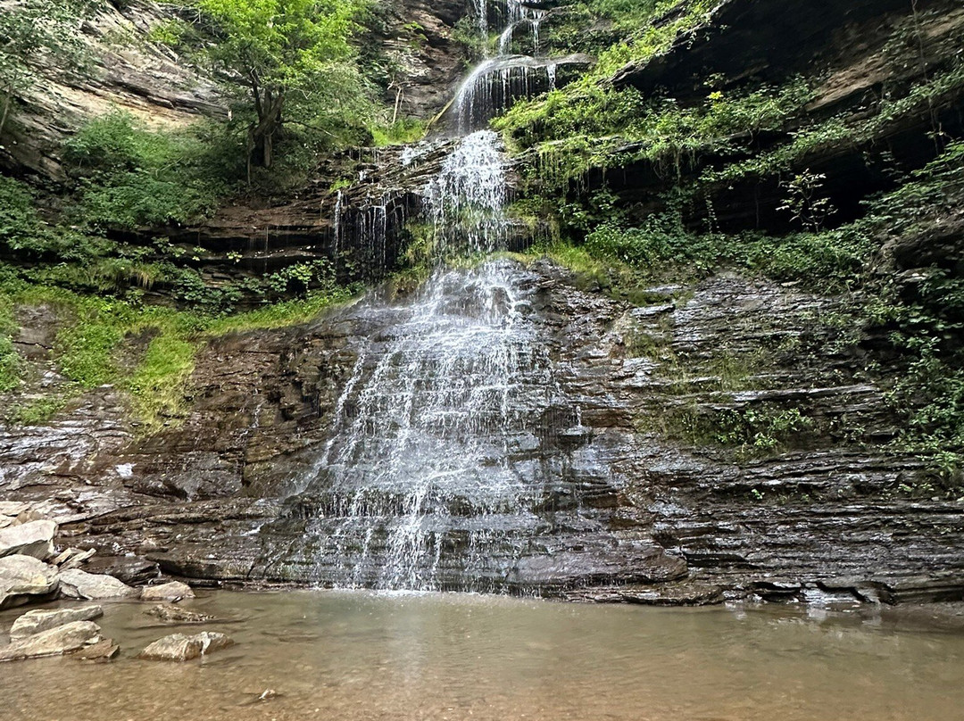 Cathedral Falls-Gauley Bridge必去景点