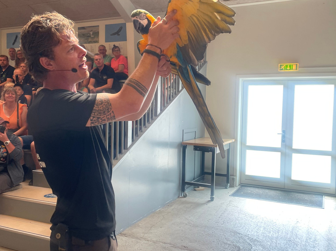 Bornholms Rovfugleshow-罗纳必去景点