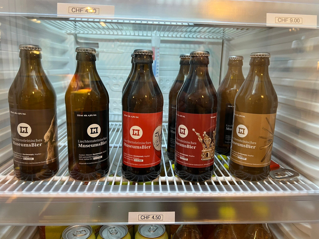 Liechtensteinisches Landesmuseum-瓦杜兹必去景点