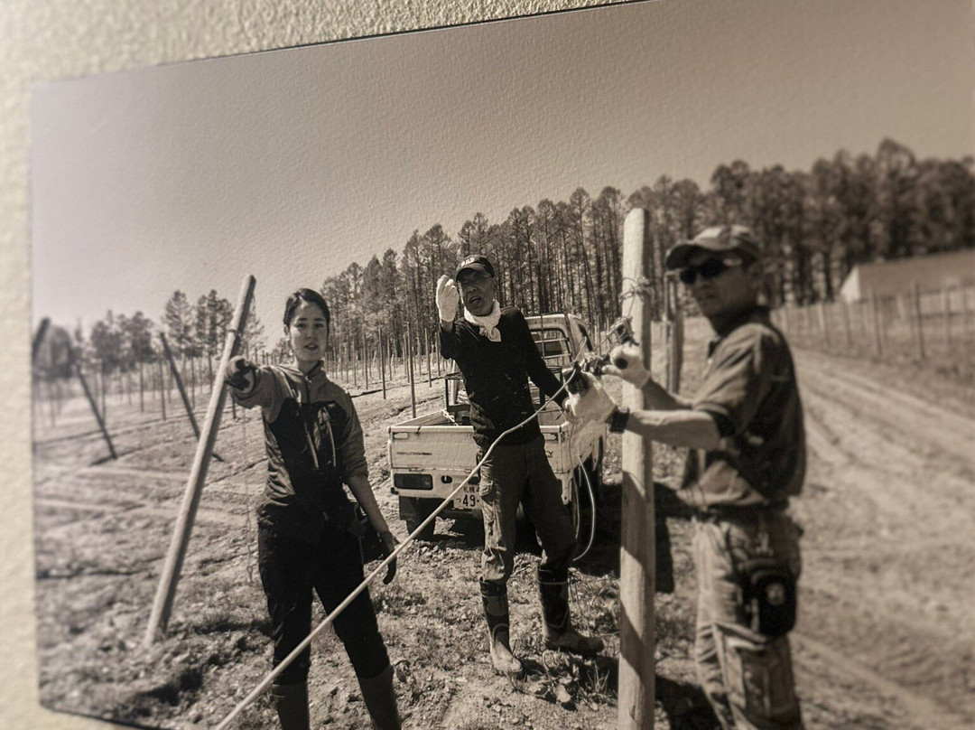 NIKI Hills Winery-仁木町必去景点