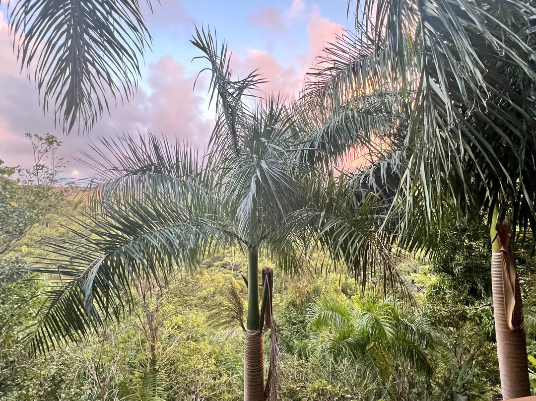 Yuquiyu Treehouses主图