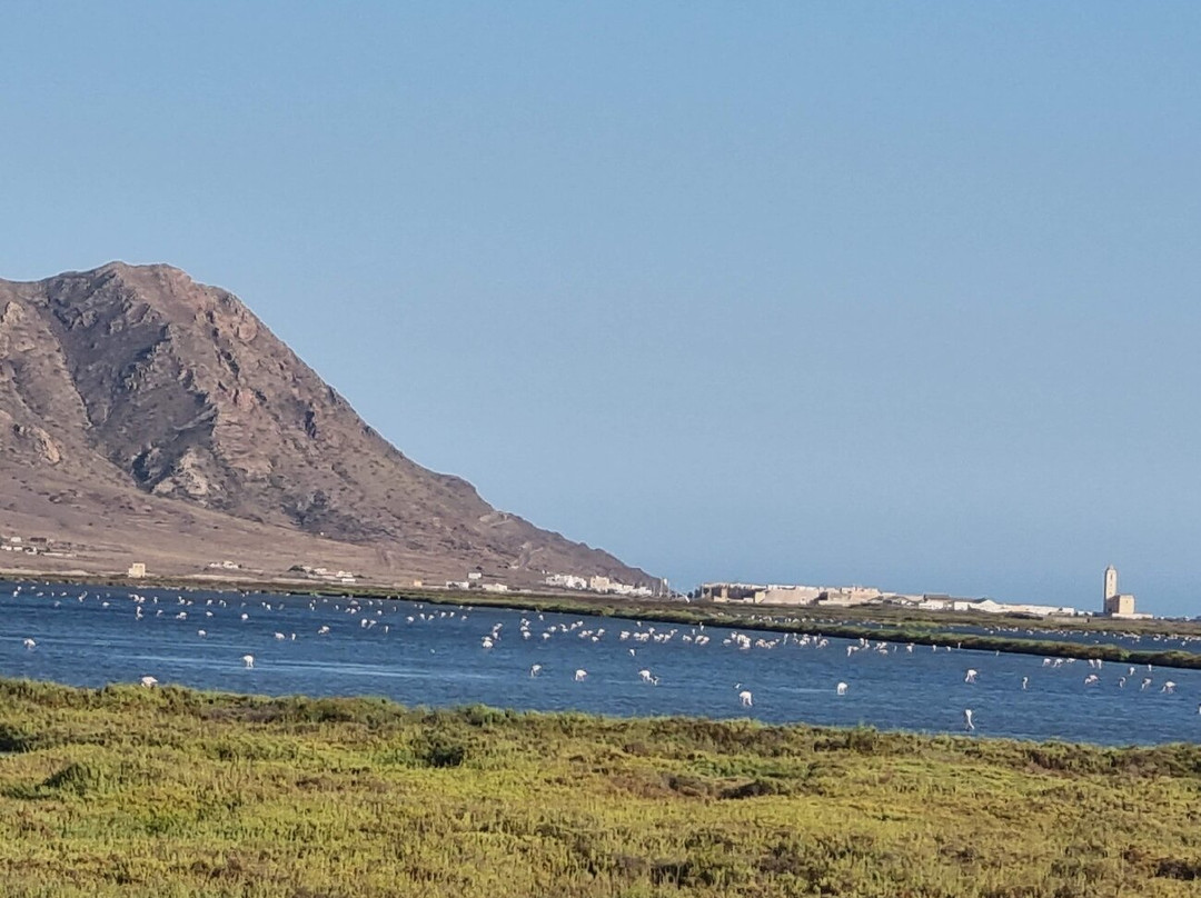 Las Salinas-加塔角必去景点