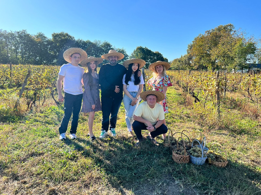 EvaTour-第比利斯必去景点