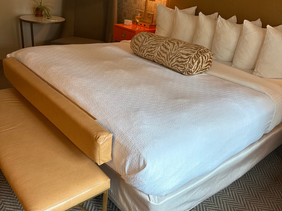 The Collegiate Hotel主图