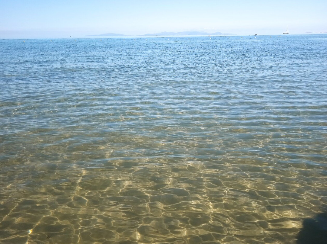 Hawaii Beach-福洛尼卡必去景点
