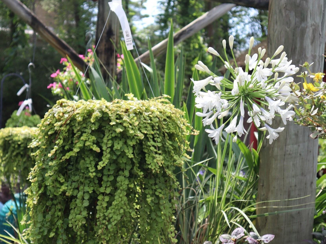 Clay Garden & Gifts Llc-Seagrove Beach必去景点