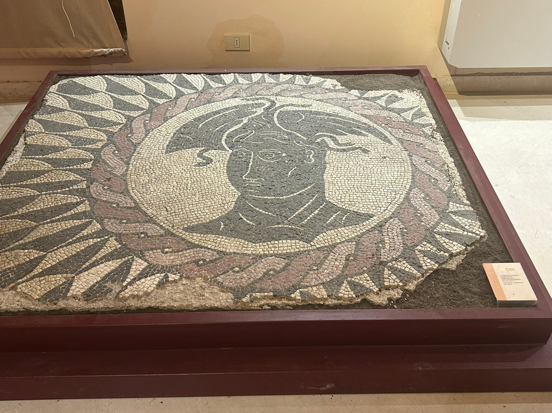 Museo Civico Santissima Annunziata-苏尔莫纳必去景点