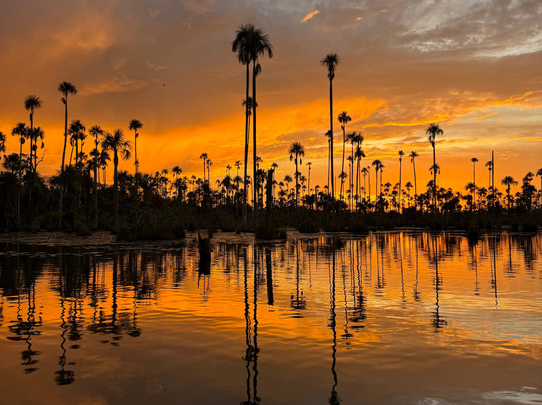 GREEN HOUSE TAMBOPATA-Filadelfia必去景点