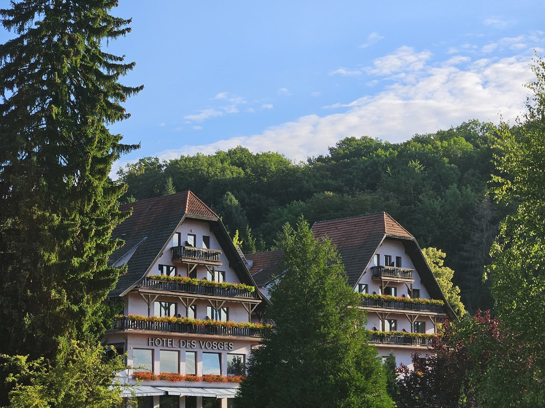 Hotel Des Vosges主图