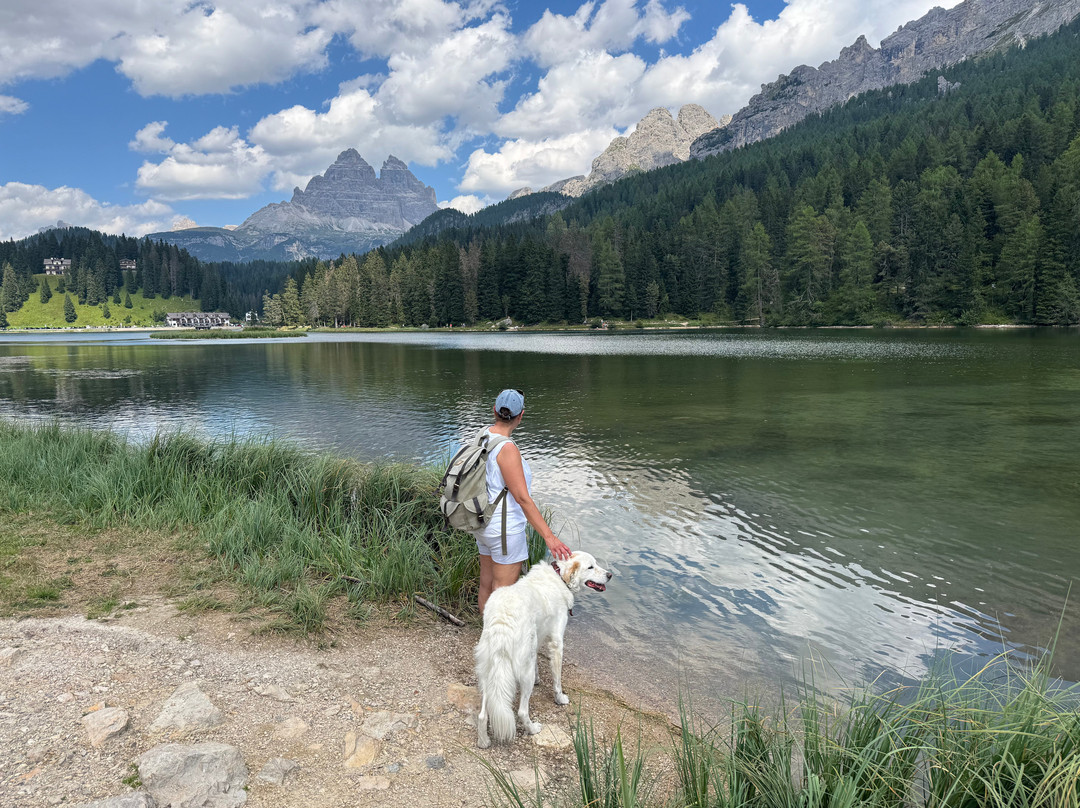 Hotel Asterbel主图