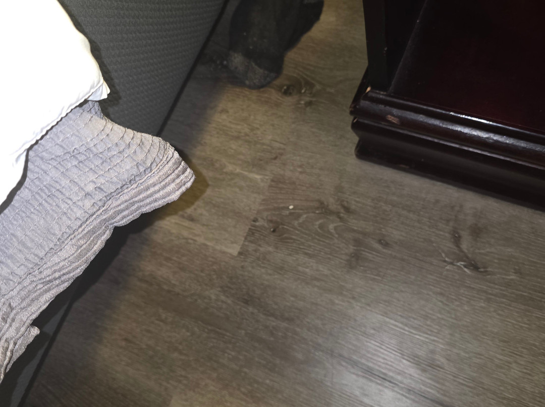 Quality Inn & Suites Near I-80 And I-294主图