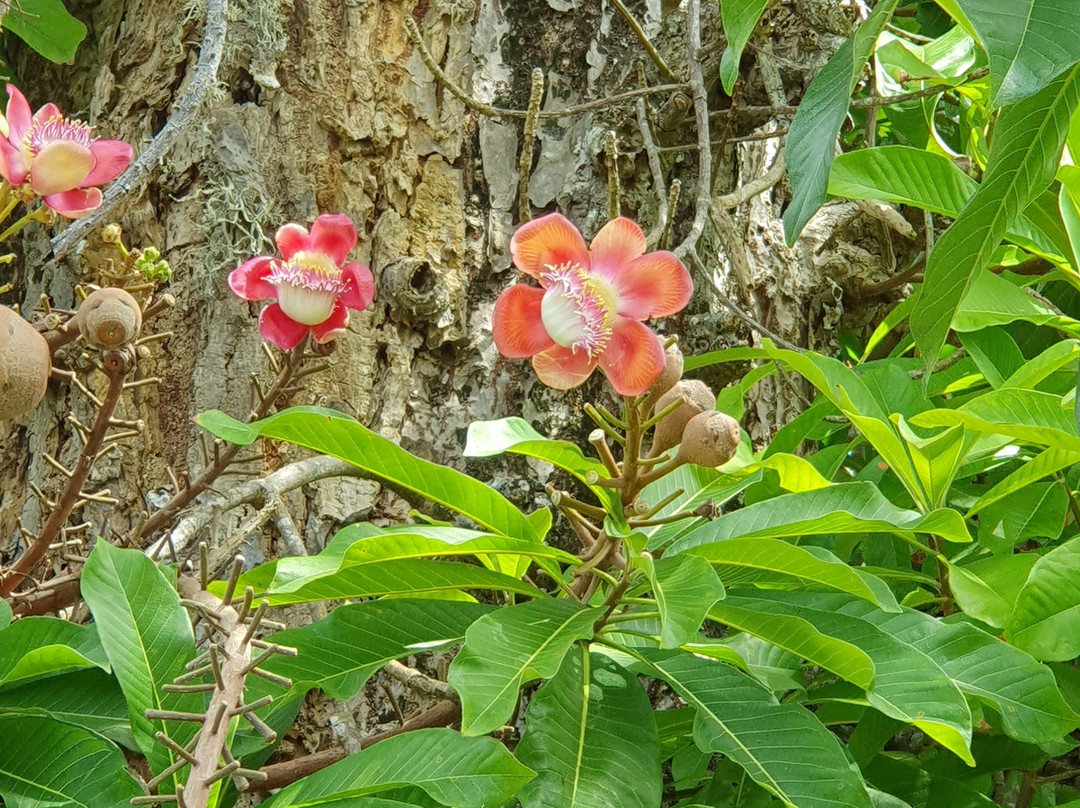 奴加斯瓦纳酒店主图