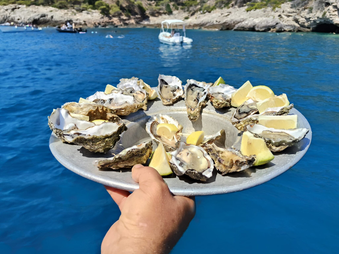 Abruzzo Skipper-San Salvo Marina必去景点