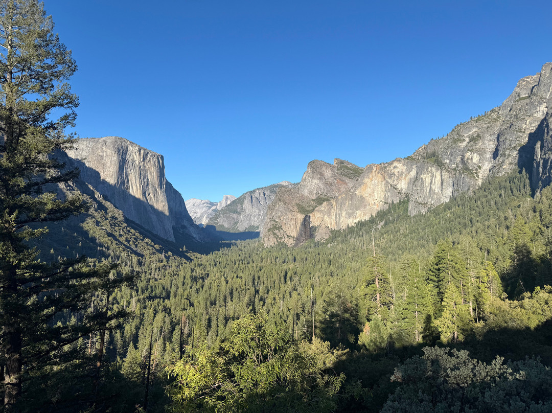 Yosemite Guide Service-格罗夫兰必去景点