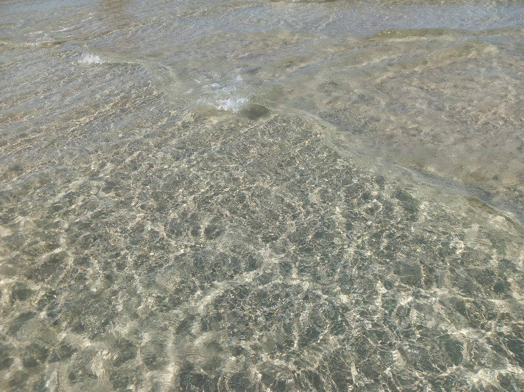 Spiaggia di Montedarena-Marina di Pulsano必去景点