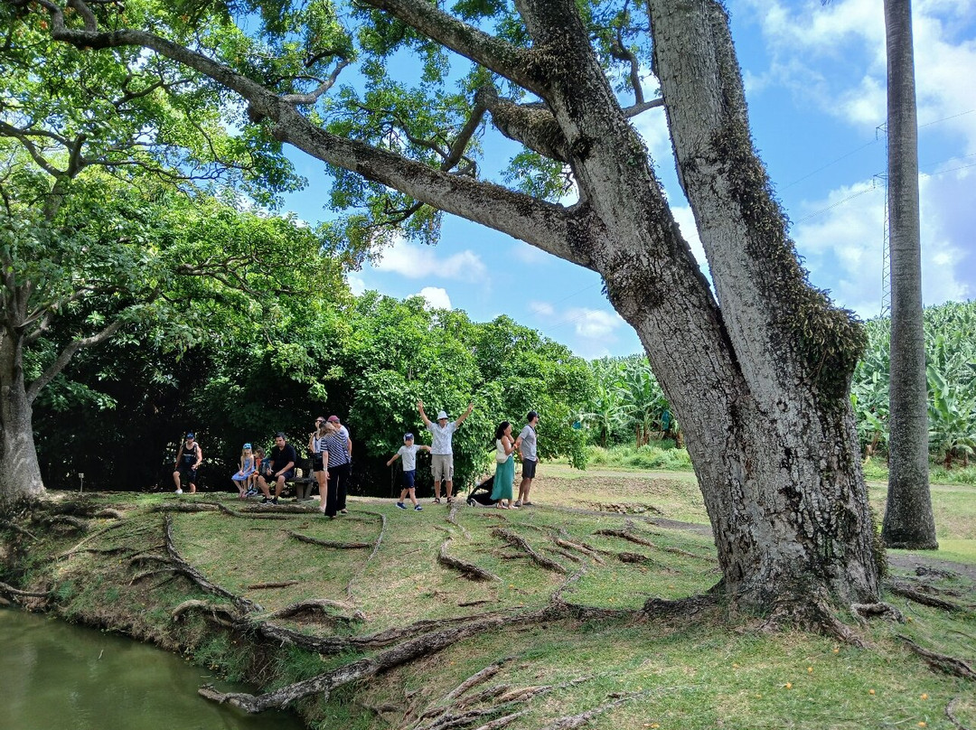 Habitation Clement-Le Francois必去景点