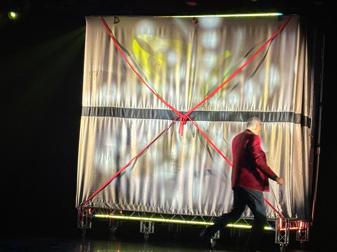 Rick Wilcox Magic Theater-威斯康星峡谷必去景点