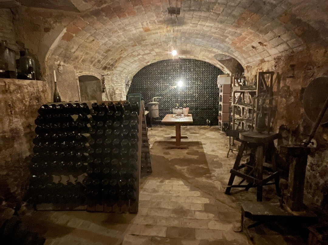 Cava Jaume Giro i Giro-桑特萨杜尔尼达诺亚必去景点