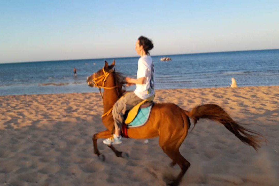 Horse Riding Hurghada-赫尔格达必去景点