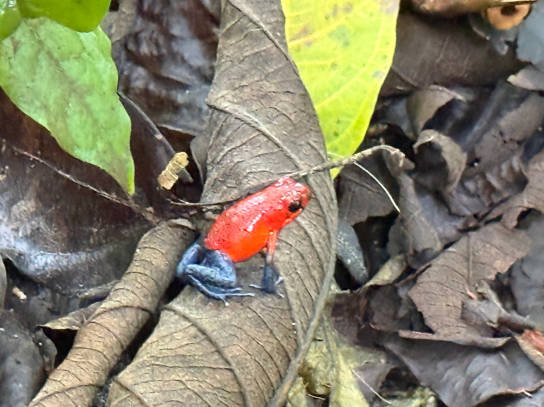 Transmila Transfers & Tours-塔马林多必去景点