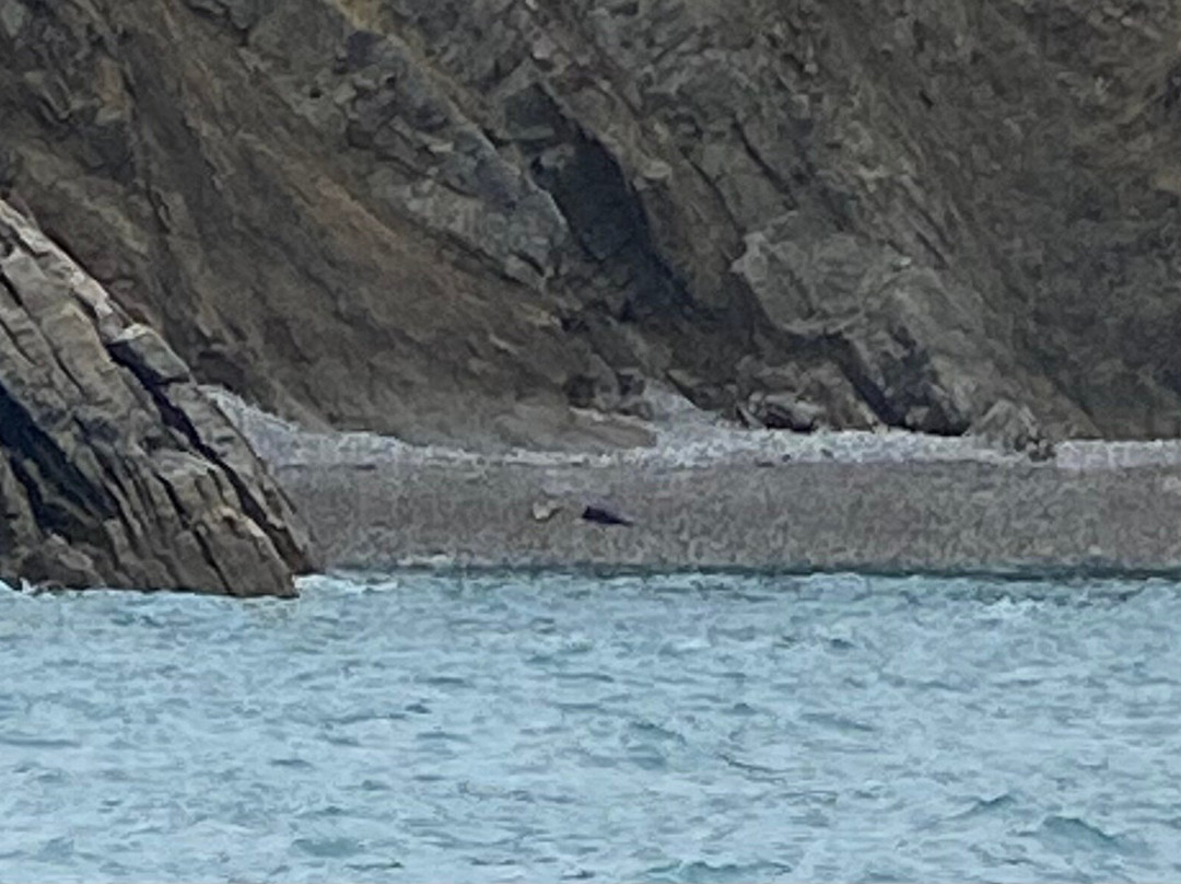 Pembrokeshire Islands Boat Trips-Marloes必去景点