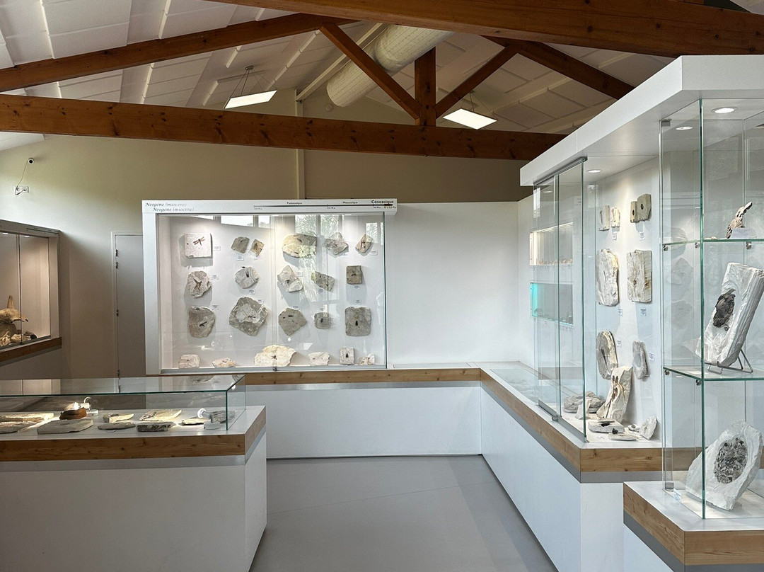 Le Muséum de l’Ardèche-Balazuc必去景点