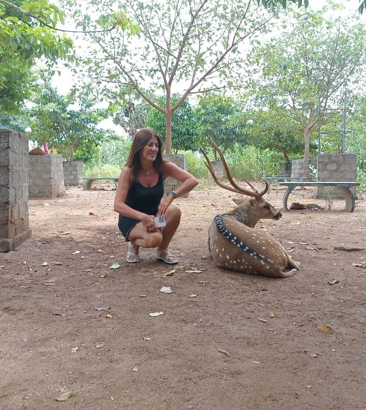 Kit Lanka Tours-Gampaha必去景点