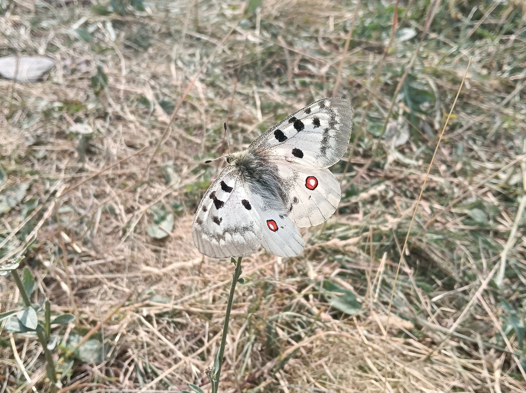 Kayak Campo-Campo必去景点