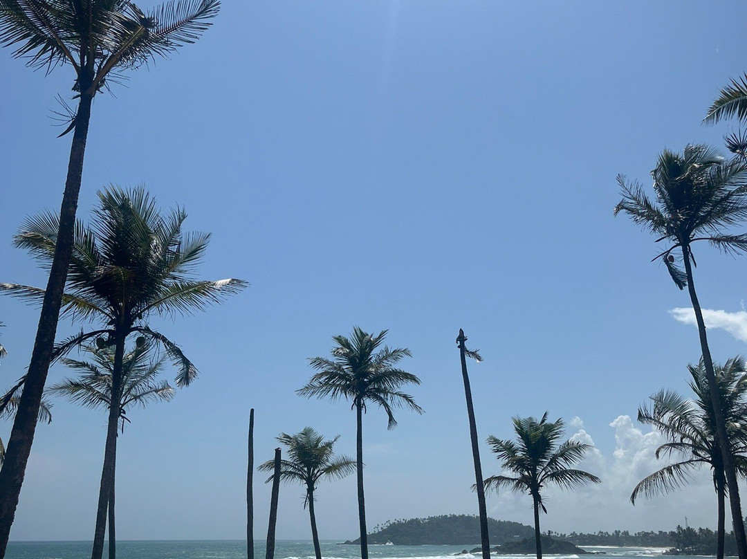 One Lanka Tours-尼甘布必去景点