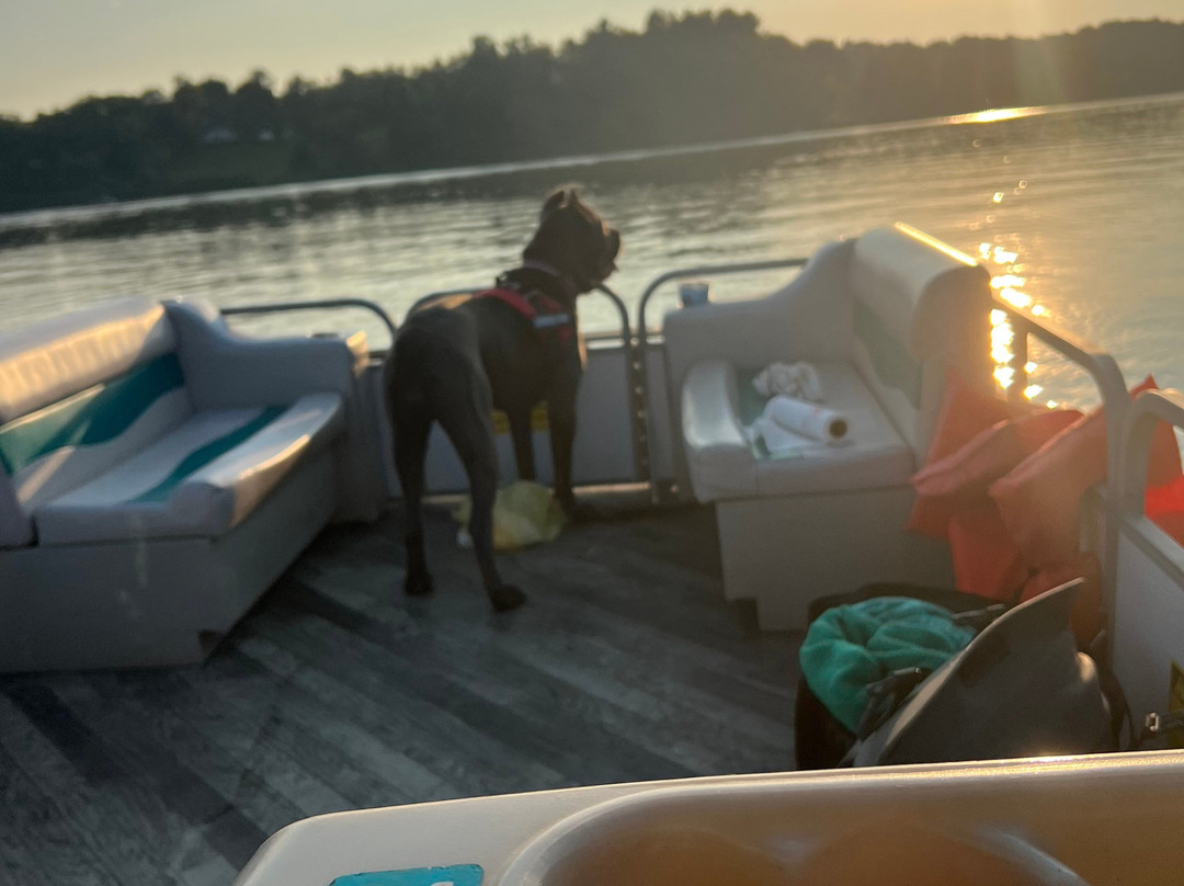 Lake Logan Marina-洛根必去景点