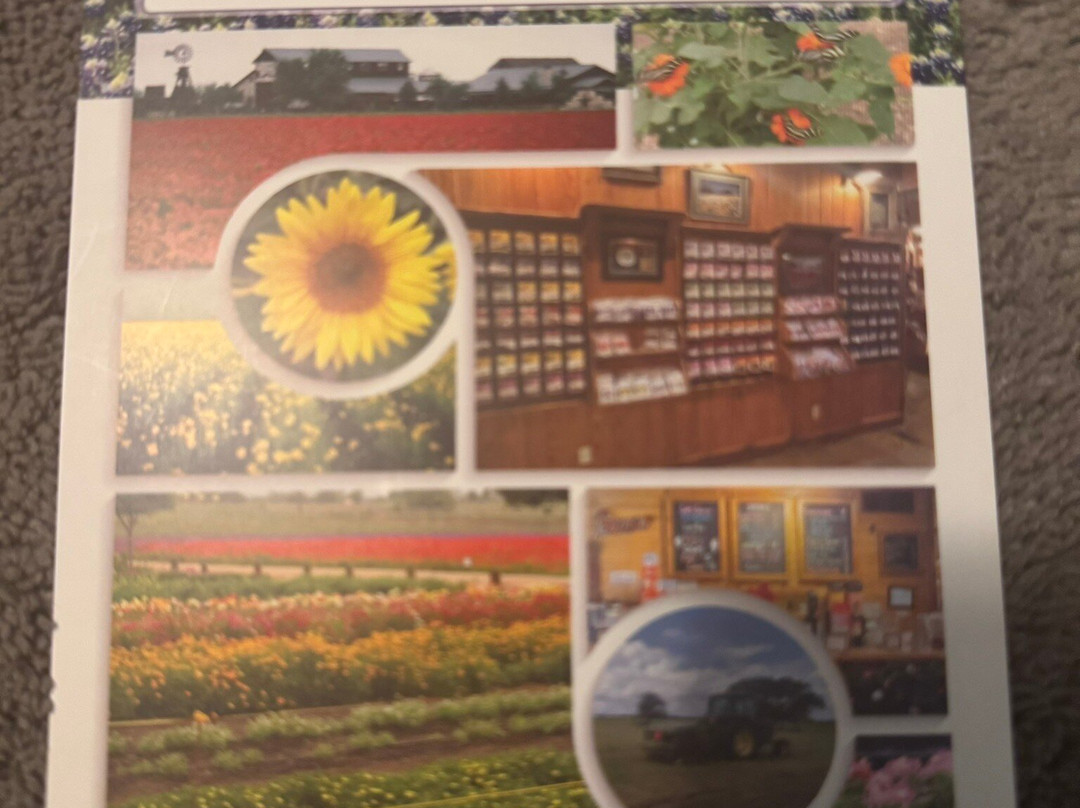 Wildseed Farms-弗雷德里克斯堡必去景点