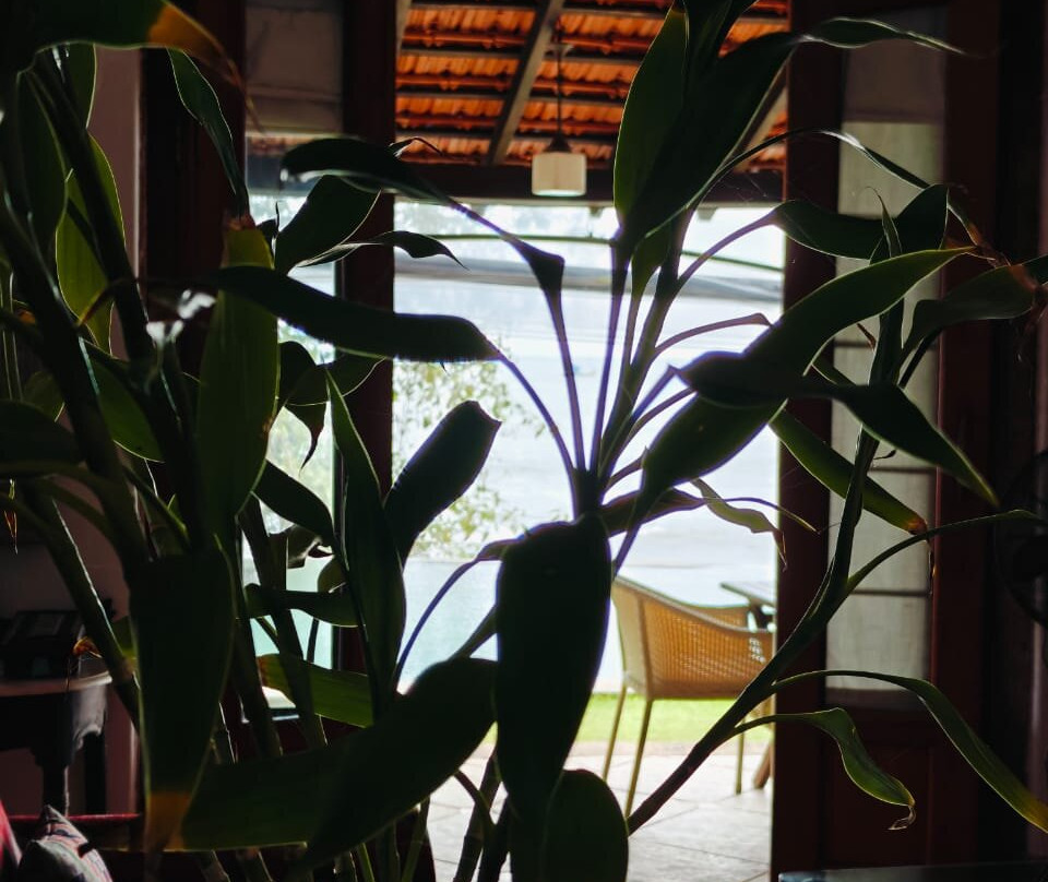 Ahilya By The Sea主图