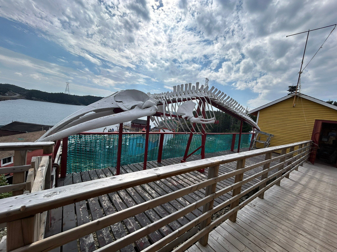 Prime Berth Fishing Museum-Twillingate必去景点