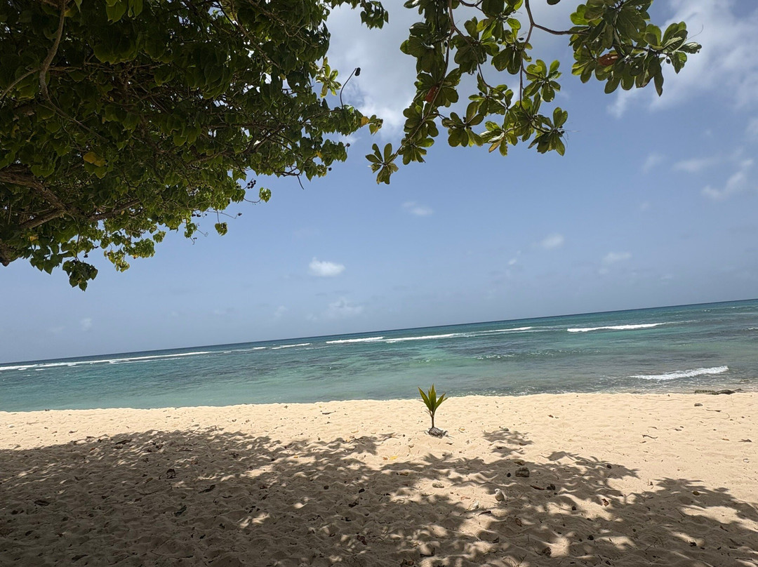Plage De La Chapelle-Anse-Bertrand必去景点