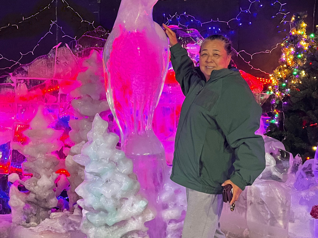 Fairbanks Ice Museum-费尔班克斯必去景点