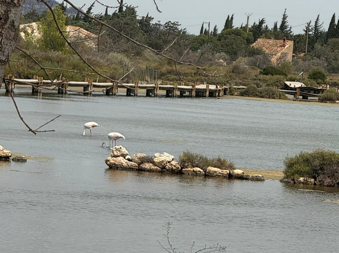Discover France-莫吉尤必去景点