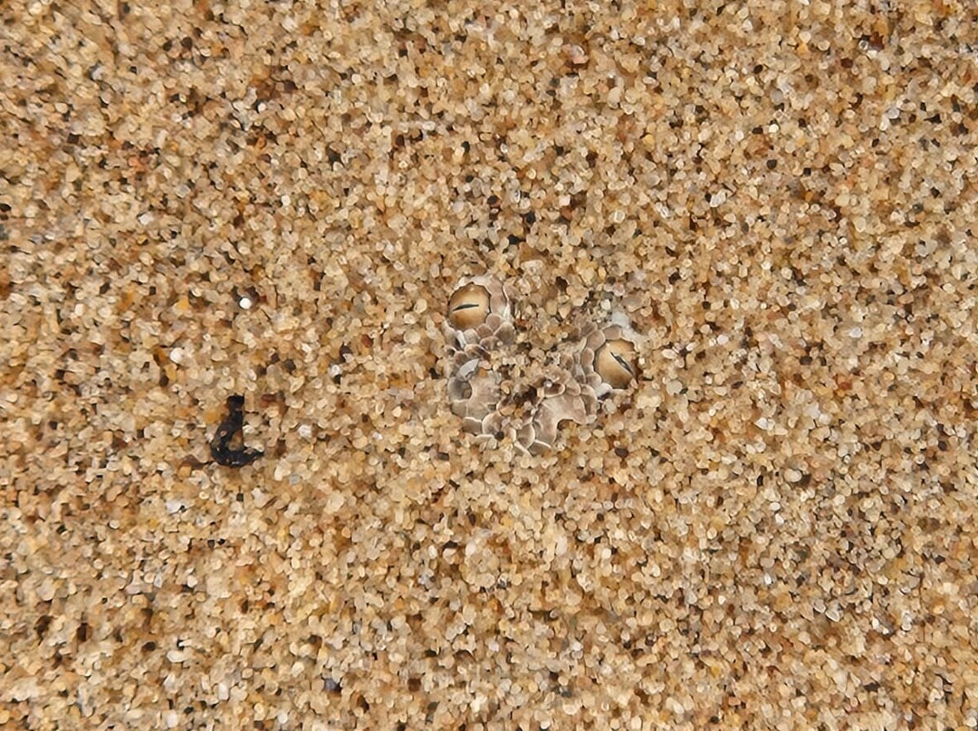 Tommy's Tours and Safaris-斯瓦科普蒙德必去景点