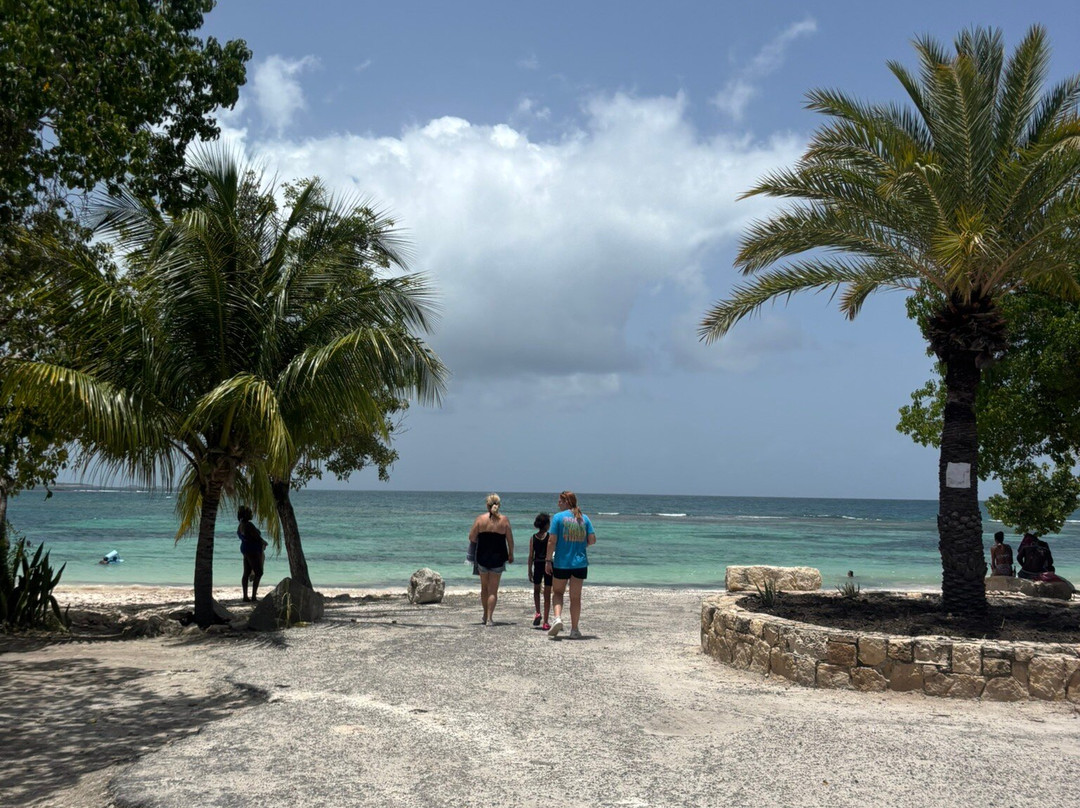 Sweet Wadadli Jungle Rides-Buckleys必去景点