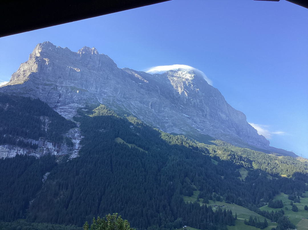 楚根大酒店主图