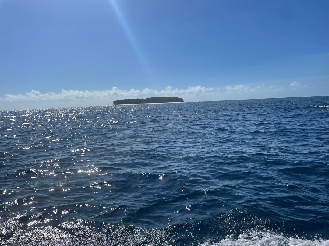 Dive Point Zanzibar-Matemwe必去景点