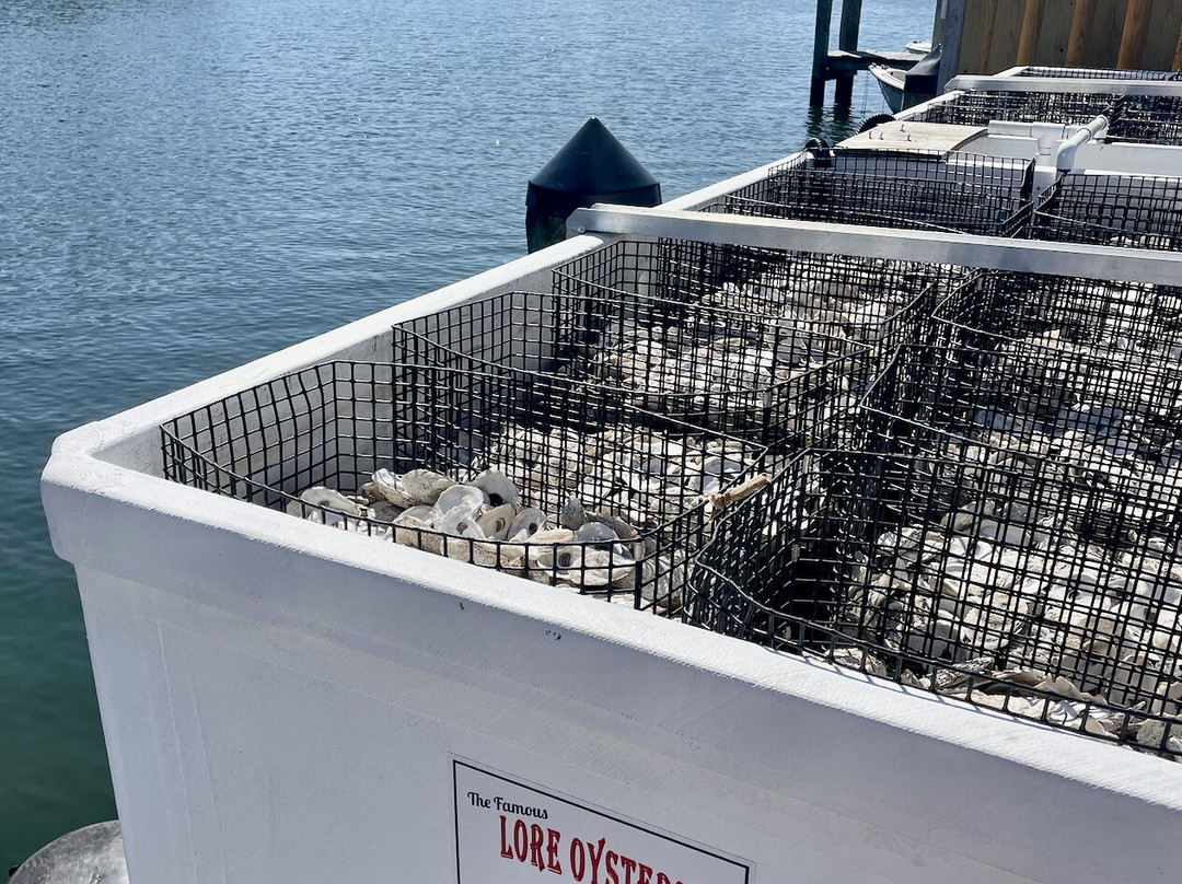 Calvert Marine Museum and Drum Point Lighthouse-Solomons必去景点